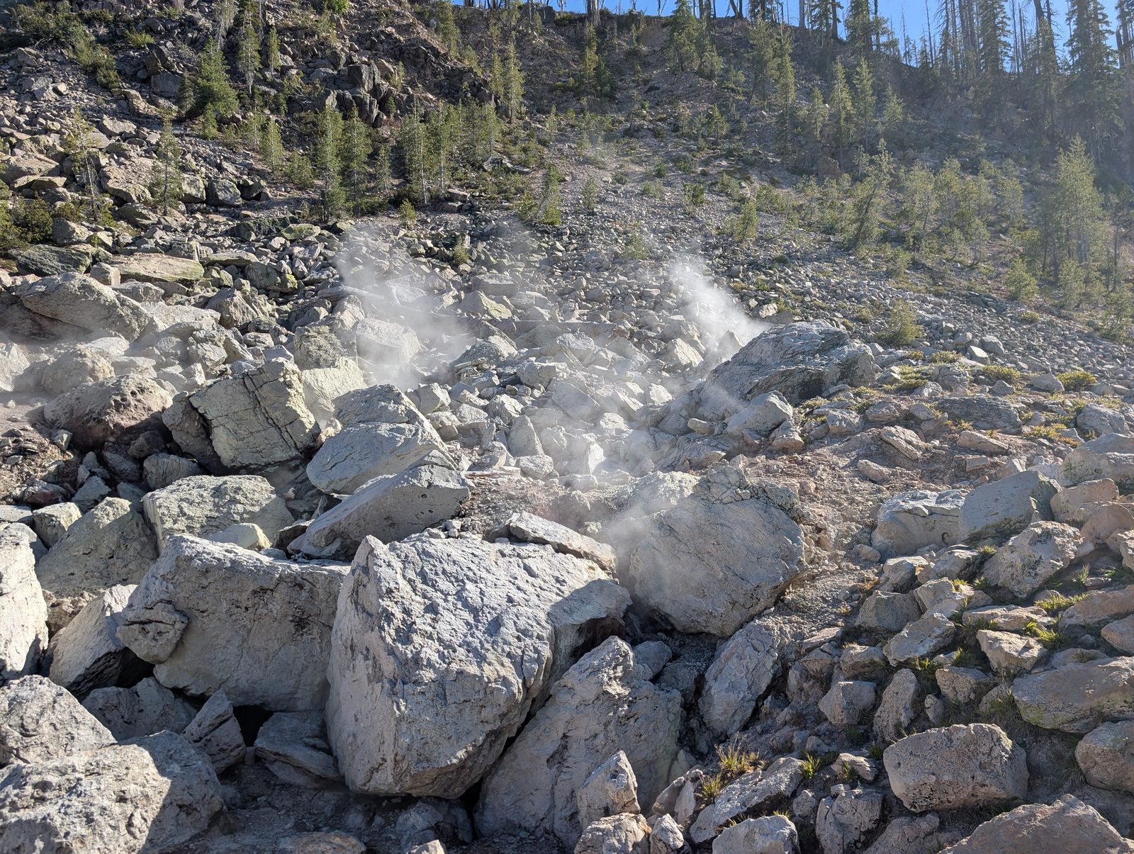Steam venting from a fumarole among boulders, with forest in the background