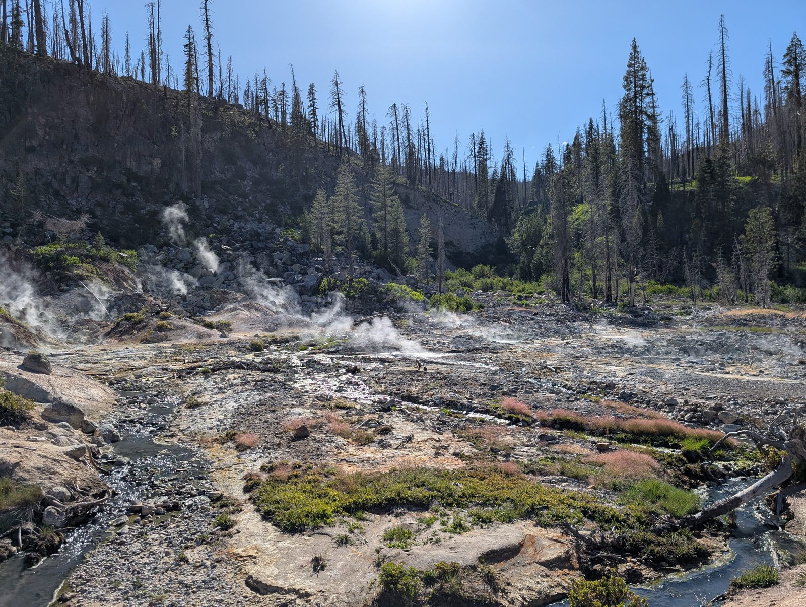 Steam rising from geothermal vents across the rocky basin of Bumpass Hell