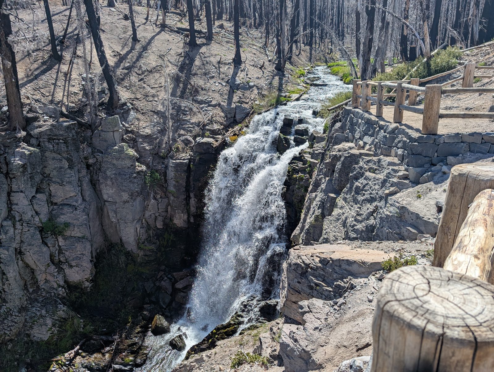 Kings Creek Falls dropping through a rocky canyon lined with fire-scarred trees