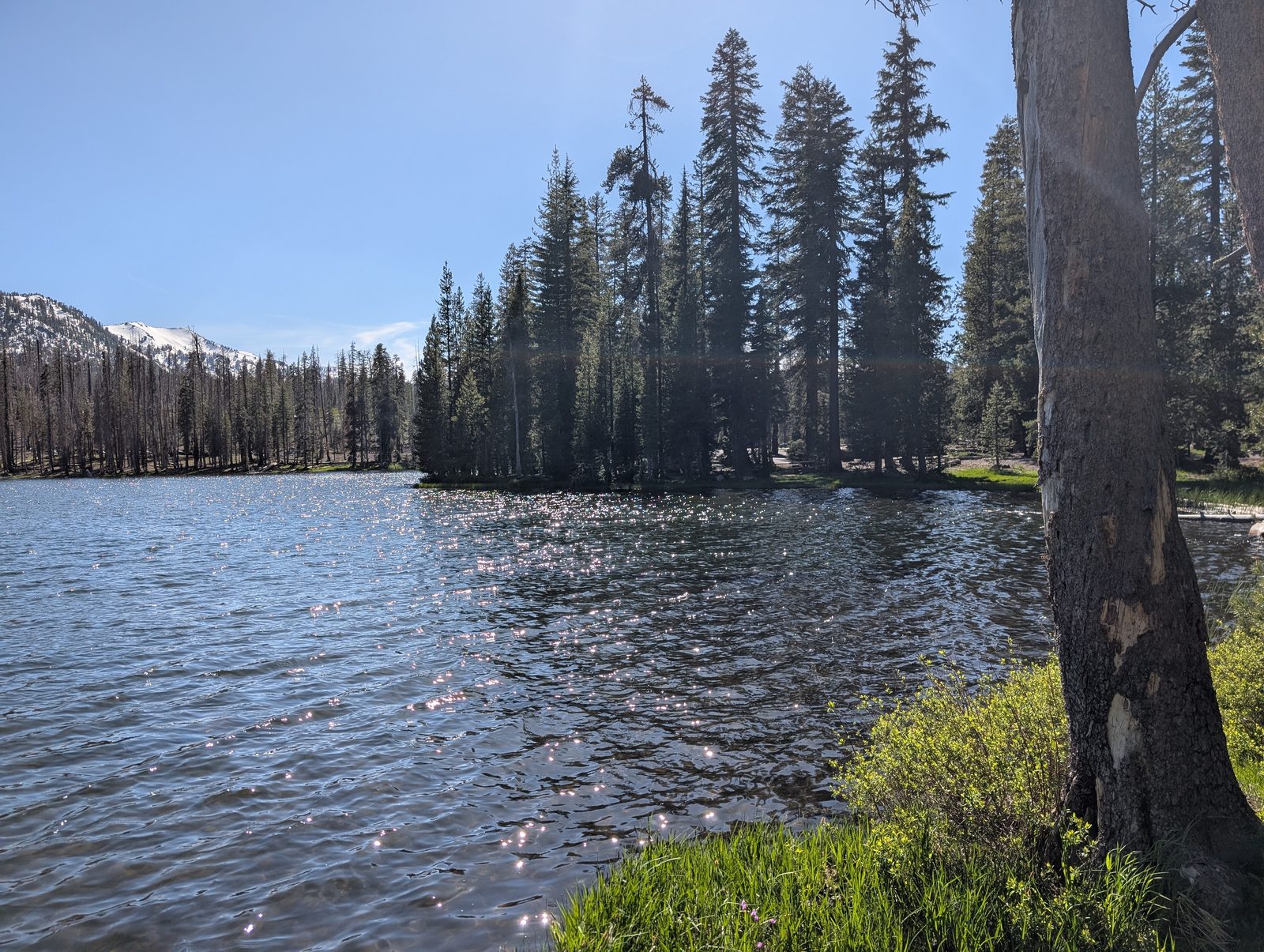 Sunlight sparkling across a lake with a snow-capped peak visible on the horizon