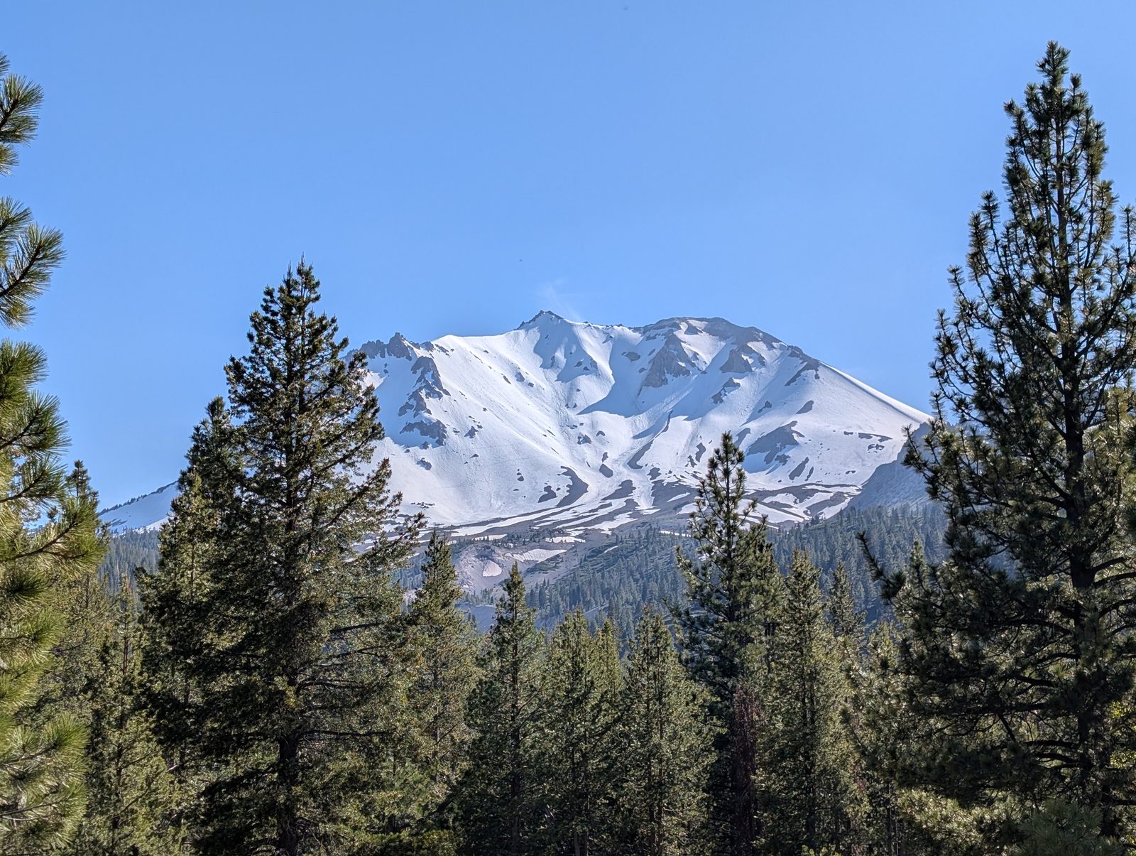 Lassen Peak framed between tall pine trees on a clear day