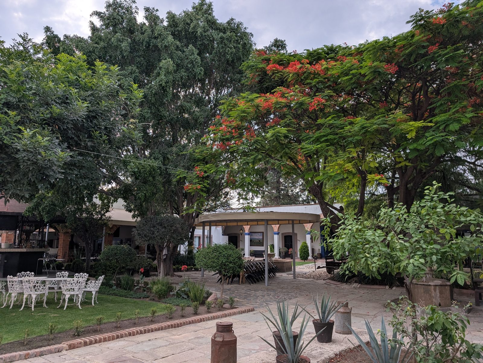 A hacienda courtyard garden with flowering flame trees and white wrought-iron furniture