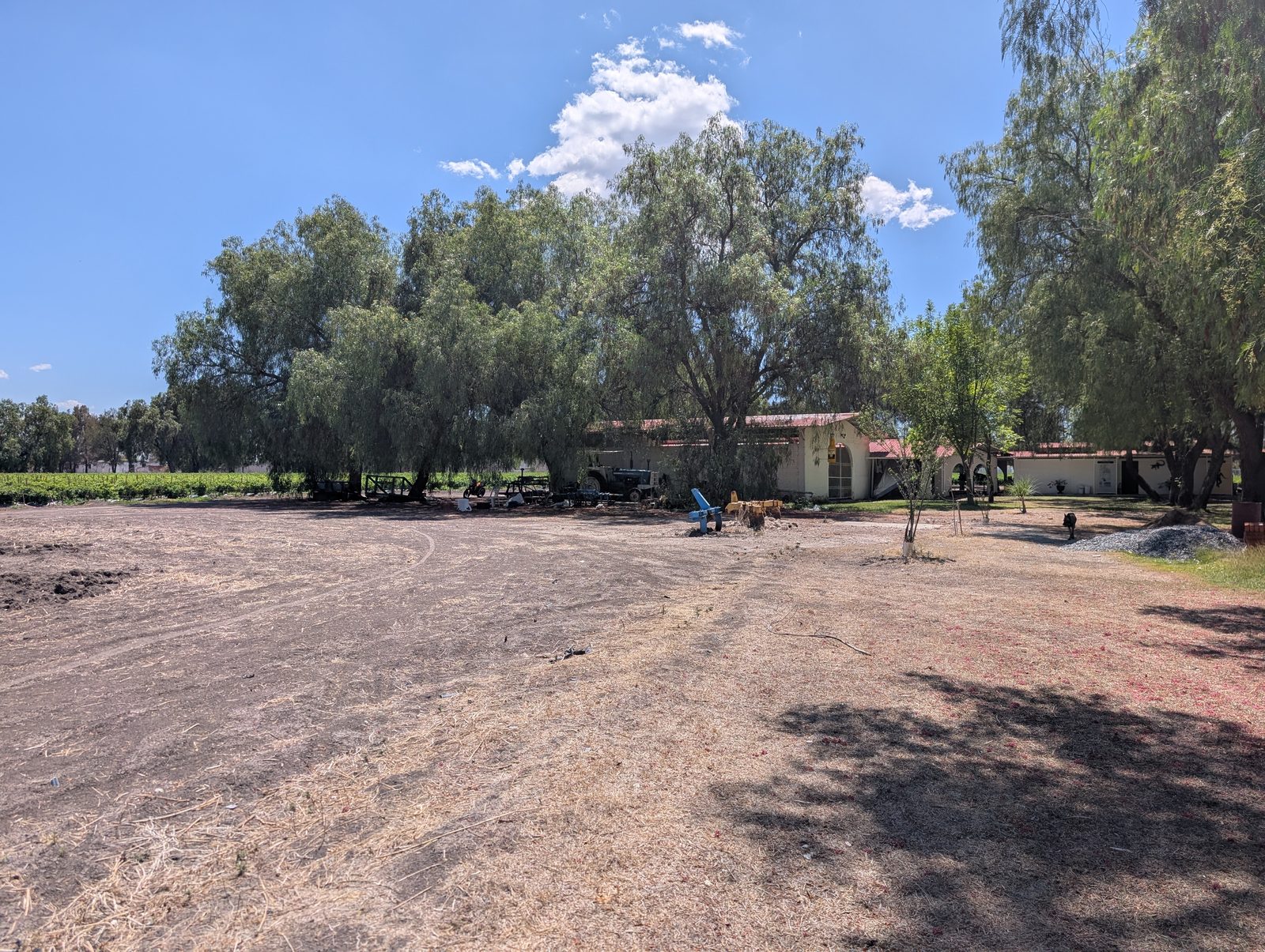 Farm buildings shaded by willow trees at a research station near San Francisco del Rincón